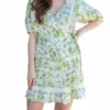 Greylin Kalina Toile Print Dress In Lime Green - women