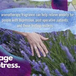 Terrajuve Lavender and Mint Therapeutic Massage Oil 13 Terrajuve Lavender and Mint Therapeutic Massage Oil -Premium Sales 9a3c00c4b2664e429e7ff4cfe777ea9f b6961b59 6fd2 43fd 919b a2461a79c187 1080x