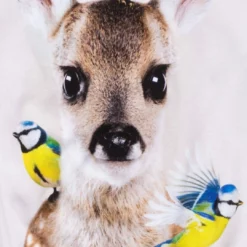 Molo Kids Regine Sweatshirt in Fawn And Birds -Premium Sales f70704fa15c74e8891f6559624800794 ac676b18 986f 400a b4d8 4614cd5b9afa 1080x