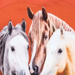 Molo Mandy Sweatshirt in Rust - kids -Premium Sales fdc8acdb4aba4c8c94635ec6bec1619c a8caafa0 318d 49fd 87a1 c587138ef8ea 1080x