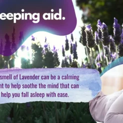 Terrajuve Lavender and Mint Therapeutic Massage Oil 12 Terrajuve Lavender and Mint Therapeutic Massage Oil -Premium Sales feeb38142e43494f9b811b962815bc0f fed66869 c984 4d02 809c 6e7e112d8929 1080x