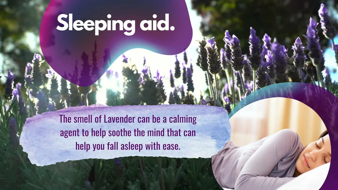 Terrajuve Lavender and Mint Therapeutic Massage Oil 5 Terrajuve Lavender and Mint Therapeutic Massage Oil - Image 3